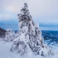 Frozen Tree