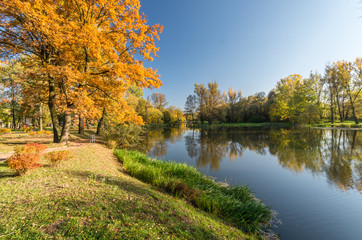 Lake in colorful autumn park over pond on sunny afternoon in Skawina, Poland
