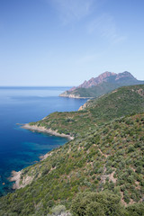 Fototapeta na wymiar The coast of Corsica, France near village of Girolata