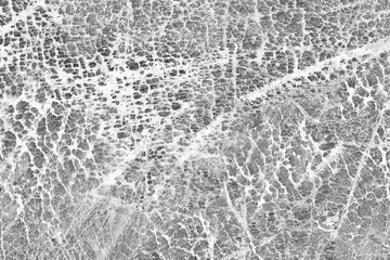 Old Dark Gray Cowhide, Weathered, Coarse, Creased, Exfoliated, Cracked, Grunge Texture Sample.