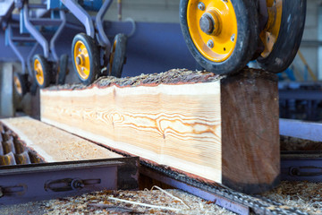 Sawmill. The process of cutting logs into boards. Automatic line sawing. Soft focus