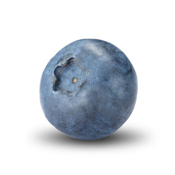 Blueberry On White Background