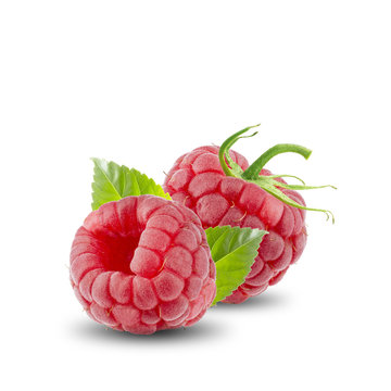 Raspberry Fruit On White Background