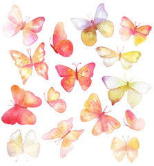 15 watercolor toned butterflies in various shapes, on white backround
