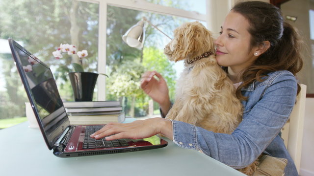  Woman working on laptop computer at home with cute puppy sitting on her lap. 