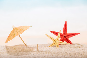 Fototapeta na wymiar Starfish in the sand under an umbrella with sign