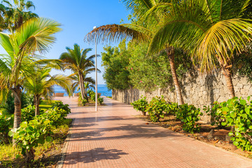 Fototapeta na wymiar Tropical palm trees on promenade in coastal town of Costa Adeje, Tenerife, Canary Islands, Spain