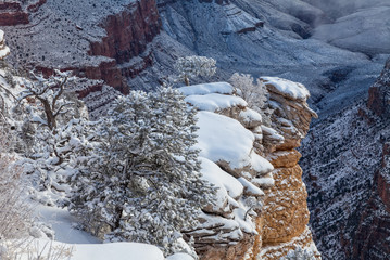 Grand Canyon Winter Landscape