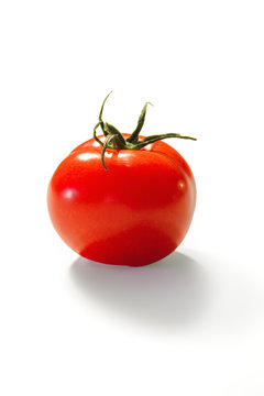 Einzelne Tomate auf weißem Hintergrund
