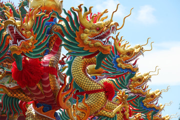 colorful dragon statue background