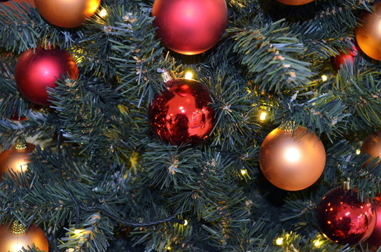 Weihnachtsbaum
