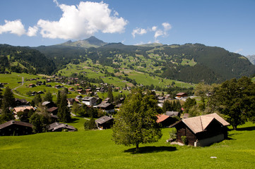 Fototapeta na wymiar Grindelwald - Switzerland