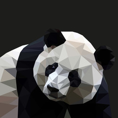 Fototapeta premium Panda in the style of triangulation on a black background. Vector illustration