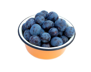 Still life with many ripe blue plums in round orange metal bowl isolated on white, front view closeup