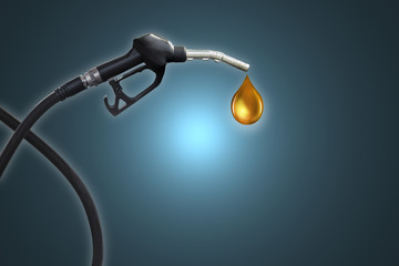 Gasoline Fuel Nozzle