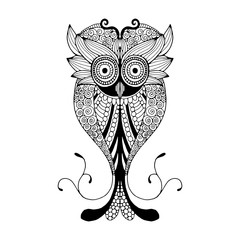 Owl illustration. Original drawing of owl on simple white background