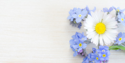 Holzhintergrund mit Gänseblümchen und  Vergissmeinnicht © magicpitzy