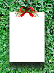 One empty rectangular paper sheet frame with Xmas ribbon decoration on green leaves background 