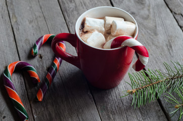 cup of hot chocolate with cinnamon and marshmallows
