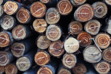 pile wood background.