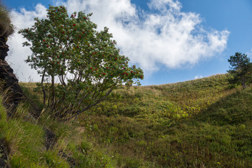 Majestic mountain landscapes of the Caucasian reserve