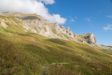 Fototapeta premium Majestic mountain landscapes of the Caucasian reserve