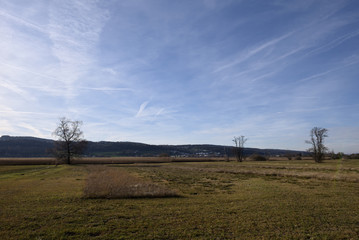 Naklejka premium Seeuferweg im Naturschutzgebiet