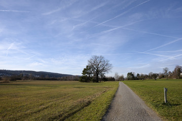 Fototapeta na wymiar Seeuferweg im Naturschutzgebiet