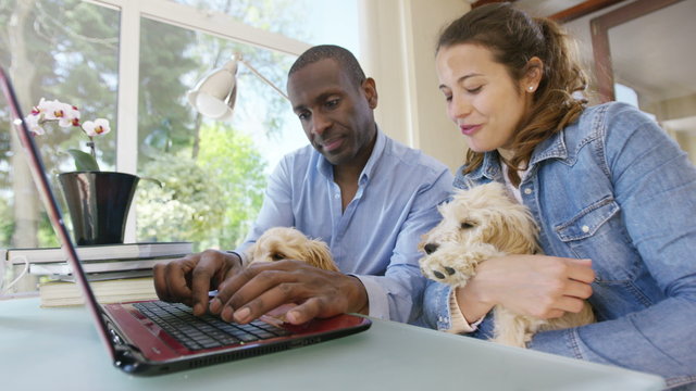  Couple working on laptop computer at home with 2 cute puppies sitting with them. 