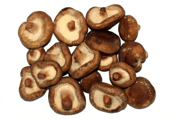 Shiitake mushrooms- Lentinula edodes