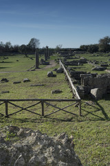 Greek City of Paestum, Cilento Italy