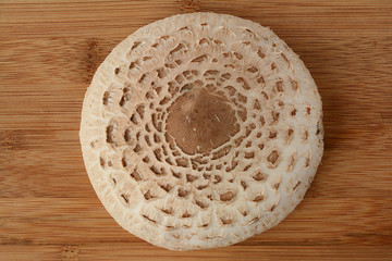 Parasol mushroom from above