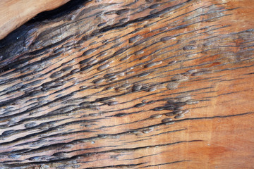 abstract of wooden texture