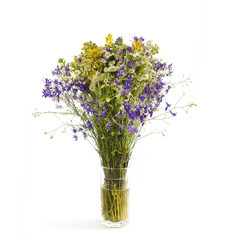 Summer flowers on white