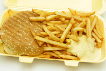 burger et frites 12122015