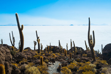 Isla Inca Wasi