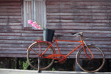 Fototapeta na wymiar classic bicycle with grunge background.