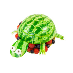 Turtle carved from a watermelon