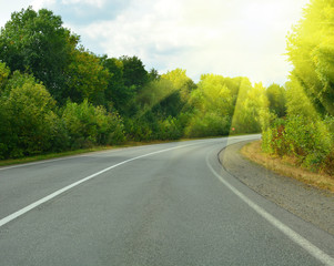 Fototapeta na wymiar Empty asphalt road in forest