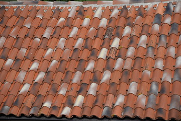 Dach in Motovun, Kroatien