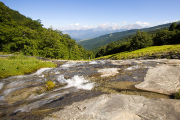 waterfall in the woods