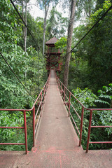 watch tower in big forest