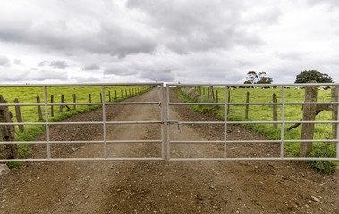 open farm gate - 97967565