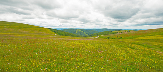 Obraz premium Meadows in mountains in summer