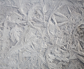 Ice patterns on winter glass . Frozen flowers. Frozen fern. White color. Macro lens.