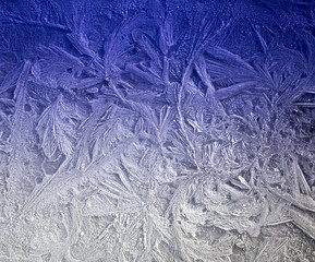 Ice patterns on winter glass . Frozen flowers. Frozen fern. White color. Macro lens.