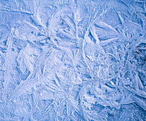 Ice patterns on winter glass . Frozen flowers. Frozen fern. White color. Macro lens.