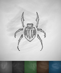 beetle icon. Hand drawn vector illustration