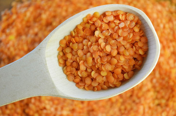 grain red lentils