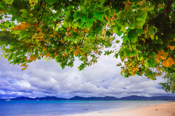 tropical beach in Phuket ,Thailand Patong Beach
